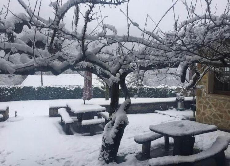 Hotel Restaurante La Carasca Orlé Zewnętrze zdjęcie